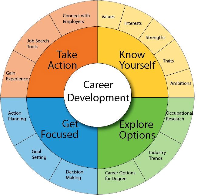 Career Development wheel diagram